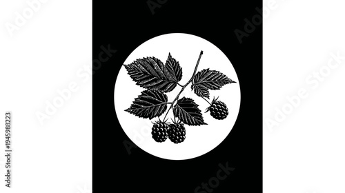 Monochrome illustration of a branch with leaves and plump berries, framed by a white circle