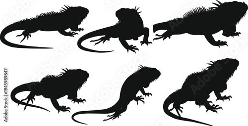 Iguana silhouette, reptile illustration, lizard drawing, exotic animal art, wildlife design, black iguana figure, nature creature artwork, tropical reptile graphic