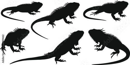 Iguana silhouette, reptile illustration, lizard drawing, exotic animal art, wildlife design, black iguana figure, tropical reptile artwork