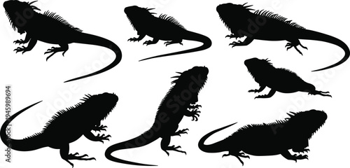 Iguana silhouette, reptile illustration, lizard drawing, exotic animal art, wildlife design, black iguana figure, tropical reptile artwork, jungle nature creature graphic