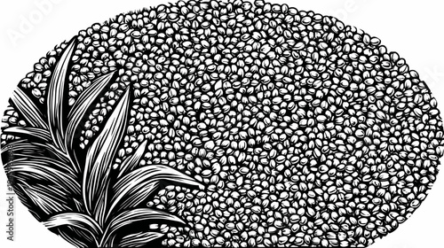 Black and white linework illustration features a cluster of seed-like objects and vibrant plant forms
