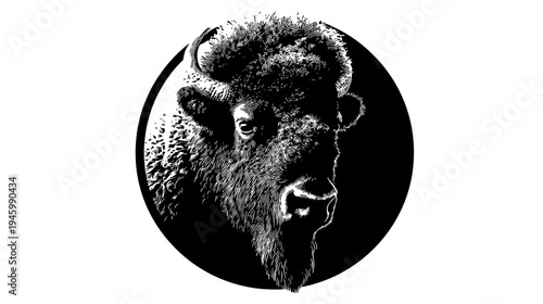 A detailed monochrome artwork of a bison's head emerging from a circular black background