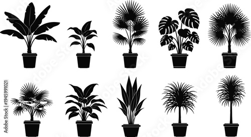 Collection, of, potted, houseplant, silhouettes, including, palm, monstera, and, tropical, leaves, black, vector, illustration, icons, set, for, interior, design, projects,