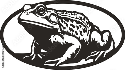A detailed monochrome illustration of a frog within an oval frame, showcasing texture and form