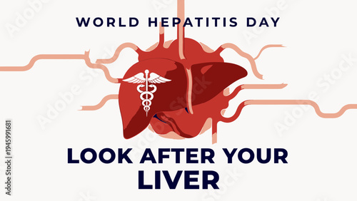 World Hepatitis Day Look After Your Liver With Caduceus Symbol vector illustration