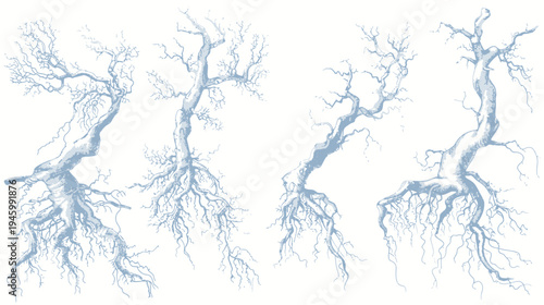 Four stylized illustrations of trees in various compositions, exhibiting trunks and intricate root systems
