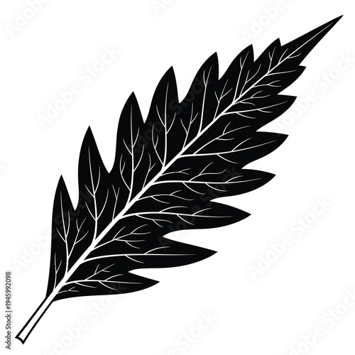 Black silhouette of a single fern leaf with detailed veins