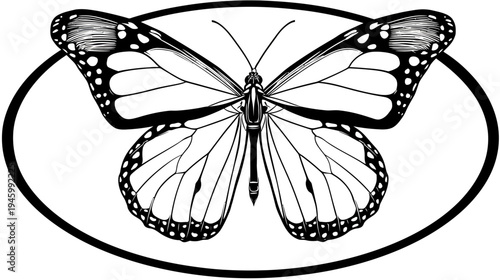 A black and white illustration of a monarch butterfly within an oval frame, wings spread wide