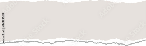 A torn piece of paper on a transparent background with a shadow