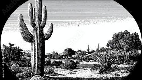 A black and white illustration of a desert landscape with large cactus in center. Other desert plants