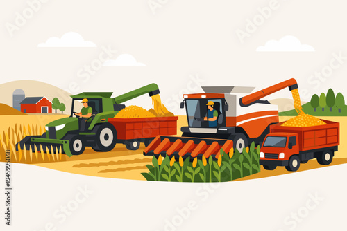 Flat Vector Illustration of Farmers Harvesting Crops with Combine Harvesters and Trucks in a Golden Field. Agricultural Machinery Working on a Farm Harvesting Wheat and Corn Grain Production.