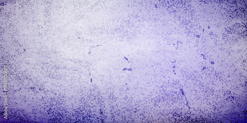 Plain white dotted paper texture minimal wallpaper background design.