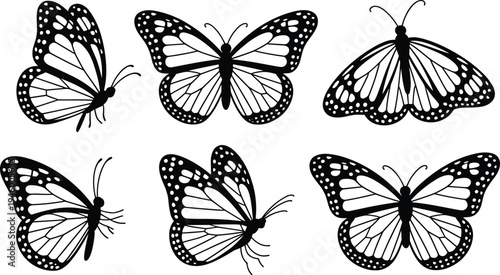 Fotografia Elegant black and white butterfly silhouettes, artistic wing patterns, symmetric
