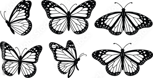 Black and white butterfly drawings, symmetrical insect illustrations, diverse wing patterns, decorative art design, entomology reference, educational nature study