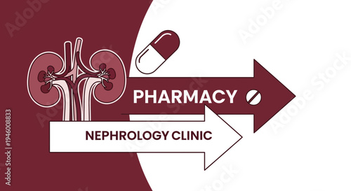 Medical Illustration Featuring Renal Anatomy, Nephrology Clinic, and Pharmacy Signage