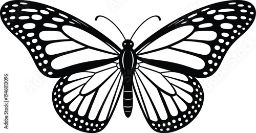 A beautiful monarch butterfly with orange and black wings is isolated on a white background, captured in a macro closeup that highlights the tropical beauty of this summer garden insect