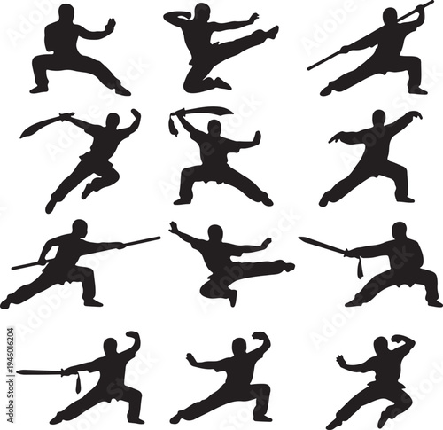 Martial Arts Kung Fu and Karate Action Poses Silhouette