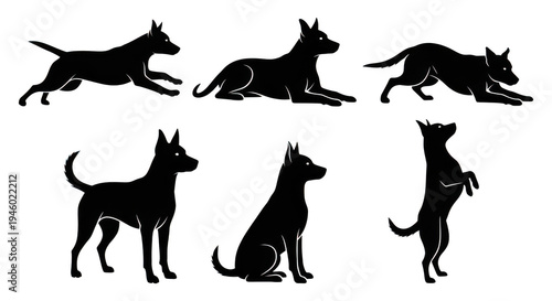 A dark and mysterious scene with indistinguishable objects and shapes in the shadows