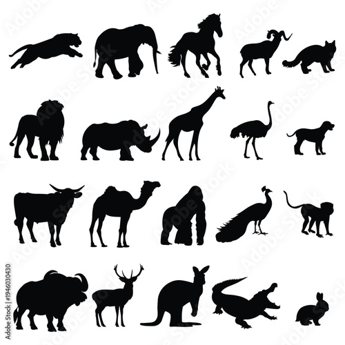 Photography Wild Animal Silhouettes Set – Vector Collection of Mammals and Birds in Black