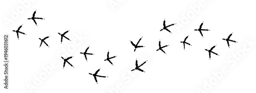 Hand Drawn Bird Footprint Silhouette Set