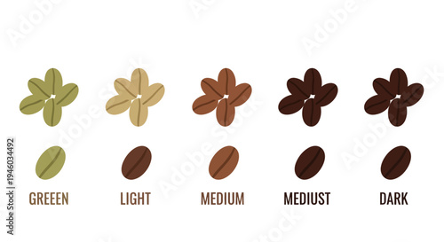 Coffee Bean Roasting Levels: Green, Light, Medium, Medium-Dark, Dark