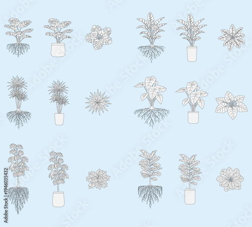 Architectural plant set, trees, house plants with roots and in pots, top view, front view, indoor and potted vegetation for plans, botanical plants, blueprint, editable stroke, vector