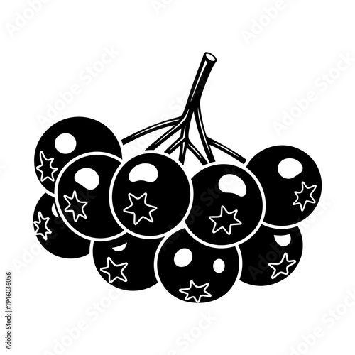 Bunch of black rowan berries isolated vector silhouette outline stars