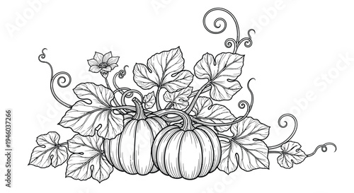 Two ripe pumpkins rest among detailed vine foliage design.