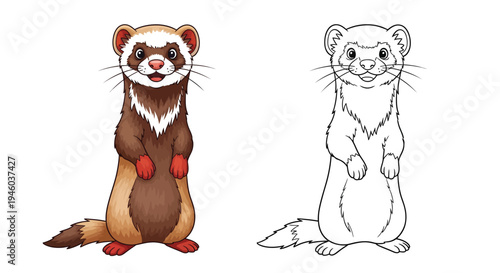 The ferret coloring page shows the animal both outlined and colored.