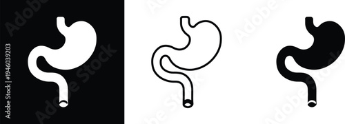 Human Stomach PNG Vector Illustration – Digestive System Organ Icon in Stroke and Solid Fill Style, Medical Anatomy Graphic Isolated on Transparent Background