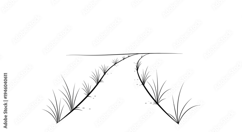 Fototapeta premium Simple landscape with grassy road diverging