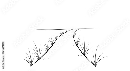 Simple landscape with grassy road diverging