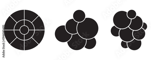 Collection of Multiple circle photo collage grid template vector illustration.  picture wall album for abstract background, business, collage art, digital photo, papers. vector illustration