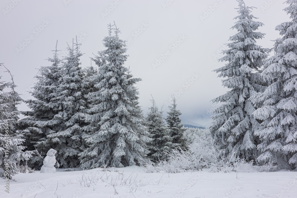 Fototapeta premium Snow covered pine forest in winter, peaceful frosty landscape. A snowman in the forest 