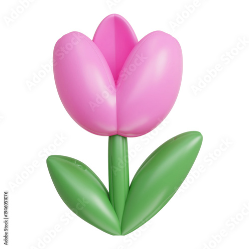 pink tulip flower