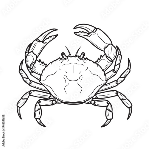 Line Art Crab with Claws Raised on White Background Seafood Illustration