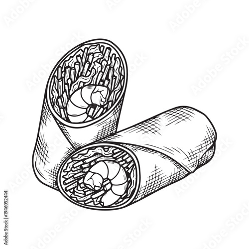 Shrimp Spring Rolls Drawing Fresh Ingredients Isolated White Background Stock Illustration