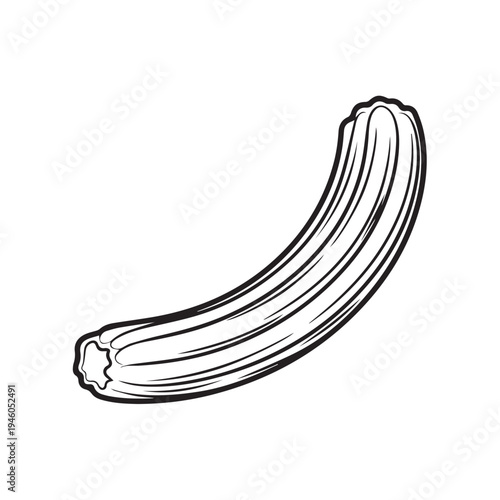 Single Churro with Crisp Texture Isolated on White Background Line Art Style