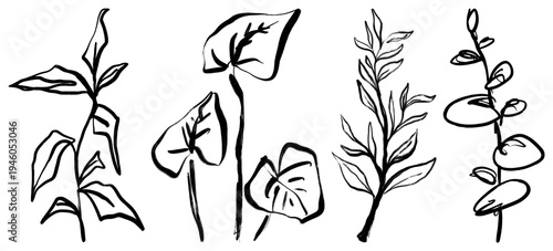 PNG Artistic black line plant illustrations element set on transparent background