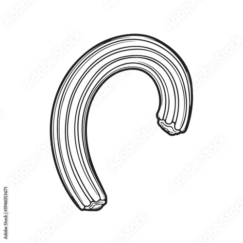 Curved Ridged Pasta Shape Isolated on White Background Close-up Detail