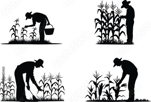 Farmer working in corn field silhouette set, agriculture planting and harvesting crops, rural farming activity illustration design