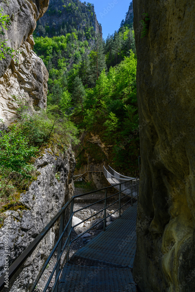 Obraz premium Narrow Canyon Trail with Metal Walkway and Lush Greenery
