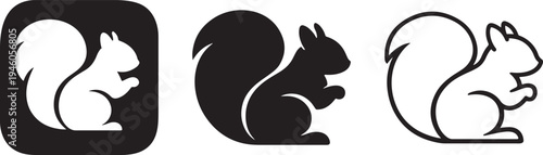Squirrel animal wildlife line icon.