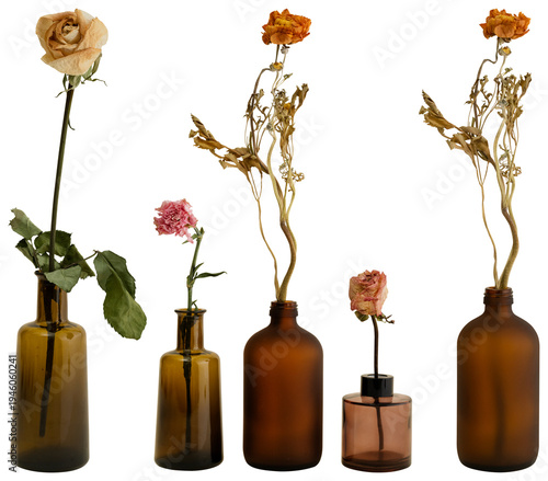 PNG Dried flowers in vintage bottles element set on transparent background