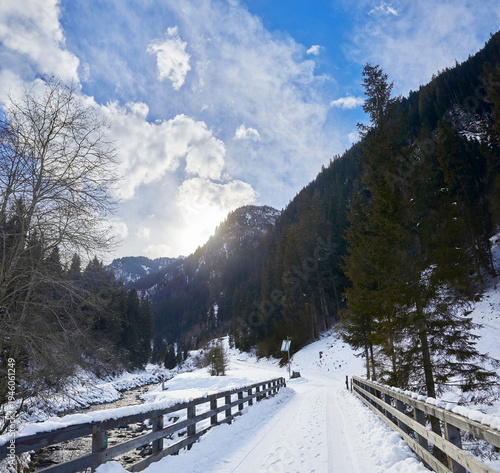 Wallpaper Mural Beautiful winter hike over a bridge in the Hollersbach Valley, in the Salzburg region near Bramberg, Austria. Torontodigital.ca