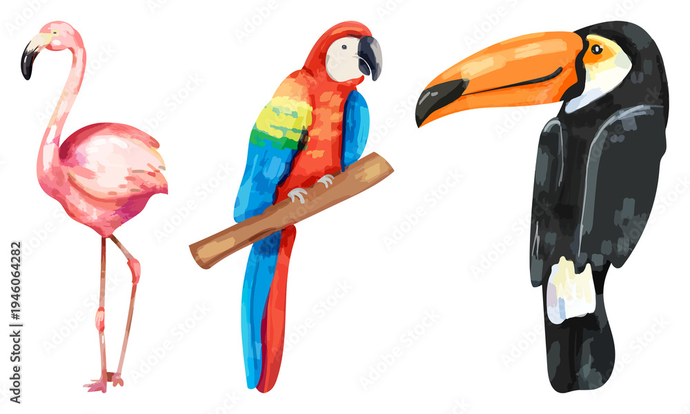 Obraz premium PNG Colorful tropical bird illustrations on transparent background