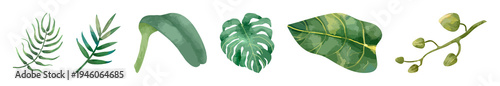PNG Illustrated tropical leaves collection on transparent background