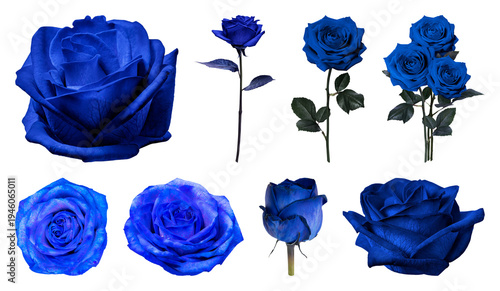 PNG Vibrant blue roses in various arrangements on transparent background