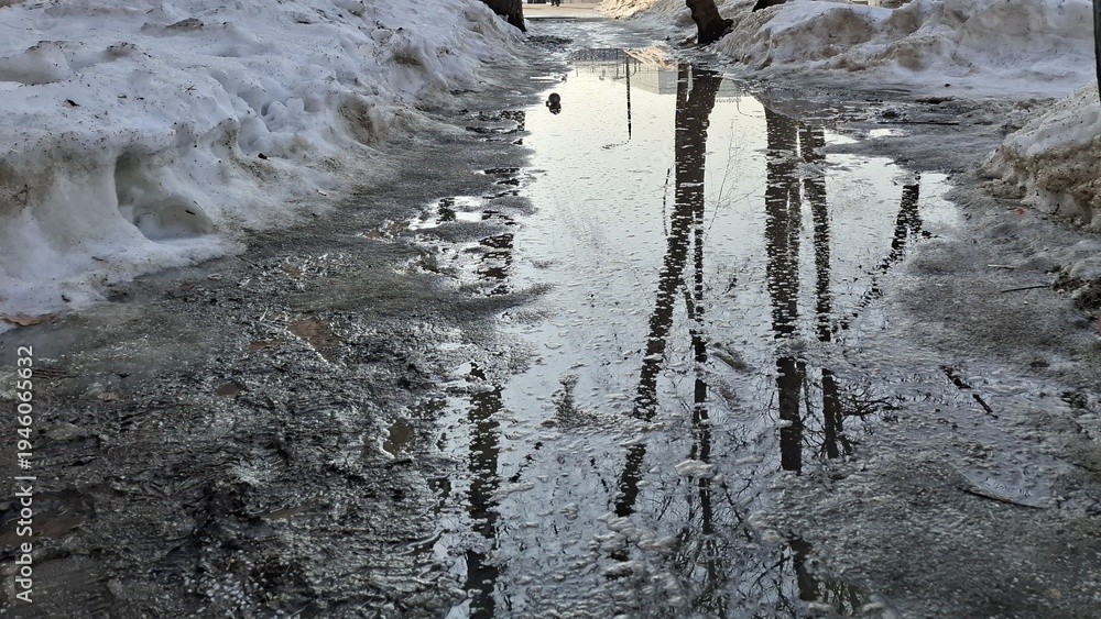 Fototapeta premium Melting snow and long water puddle on a city sidewalk during early spring. Reflections of bare trees on the icy surface create a moody atmosphere of seasonal change in a residential area today