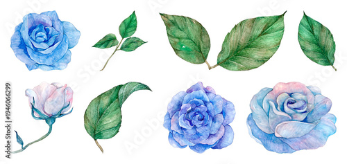 PNG Watercolor blue roses and leaves on transparent background
